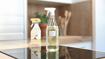 Eco-Friendly Degreaser Tablets - CleanPill by Orache - 4 Units